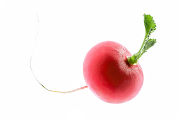 Fresh radish isolated on white background