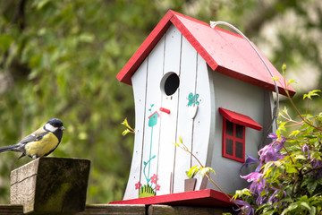 Vogelhäuschen Meise 
