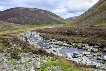 Glen in Angus, Scotland, United Kingdom. Beautiful scottish landscape. Mountains and a brook....