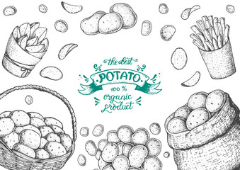 Potato vector illustration. Basket and bag of potatoes. French fries, rustic potatoes and chips hand drawn. Engraved style frame.