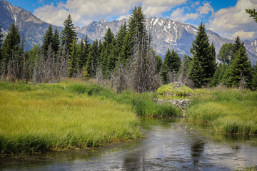 Fototapeta na wymiar Grand Teton National Park