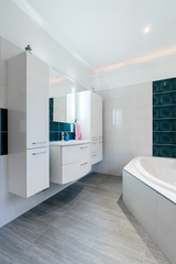 Spacious bathroom in blue and white tones with heated floors, walk-in shower, sink vanity and skylights Vertical Shot