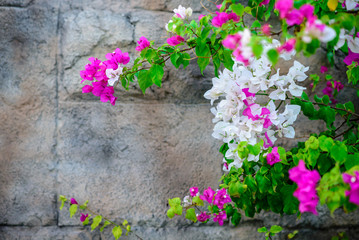 A wall with beautiful flowers on it.