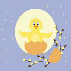Happy easter cartoon greeting card. Cute chicken in egg shell with willow twigs.