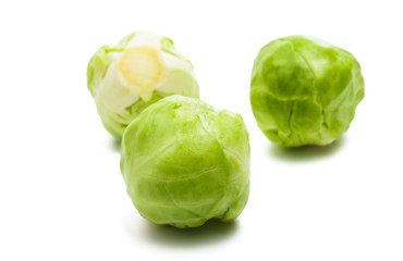 brussels sprouts isolated