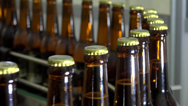 Automatic Beer Bottling Line. Queue of ready filled bottles on the conveyor.