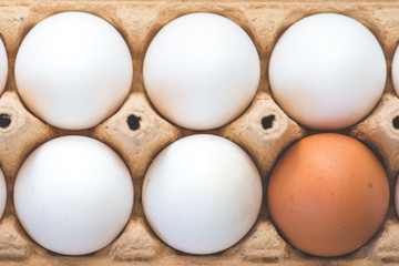 Close-up view of raw chicken eggs