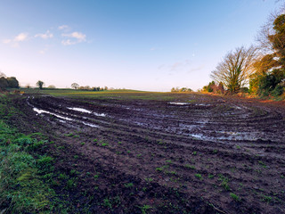 Fototapeta premium winter countryside morning,Northern Ireland