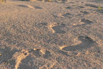 Footprints of a man's footprints on the sand, a shadow from the morning sun on the beach of the beach leaving in the distance summer rest weekend