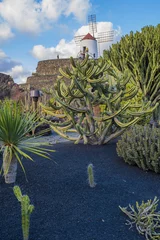 Gordijnen Cactus garden in Guatiza village, Lanzarote, Canary Islands, Spain  © vitaprague