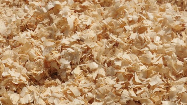 Wooden sawdust heap on the ground slow tilt footage - Tilting on pile of wood cutting scobs video