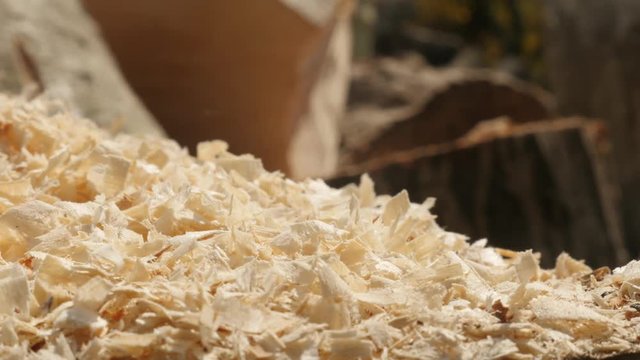 Shallow DOF pile of wood cutting scobs  footage - Wooden sawdust heap on the ground 