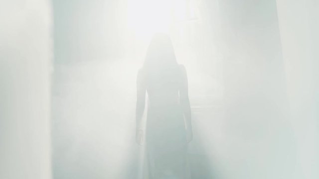 Seductive female silhouette in a white nighty walking to the bright sunlight, surrounded with fog or smoke. Wonder, miracle. Paranormal activity, mystery. Sun shining through the window