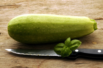 Cucurbita pepo