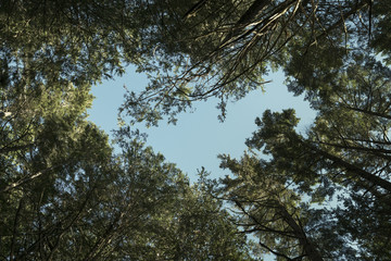 Mother Nature