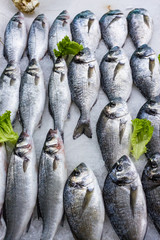 Fototapeta premium fresh russian fish 6