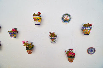Pots and flowers