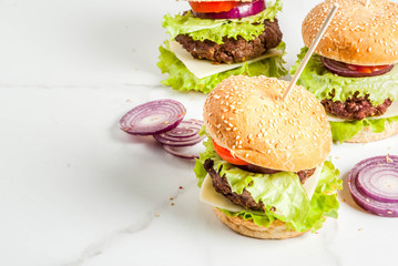 Fast food. Unhealthy food. Delicious Fresh Tasty Burgers with Beef Cutlet, fresh Vegetables and Cheese on white background. Copy space