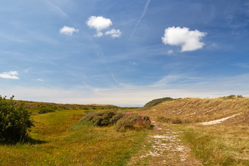 Dune landscape at Texel