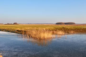 Foto auf Alu-Dibond Frozen landscape in the Netherlands © Lennjo