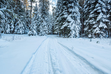 Road through winter mountain forest