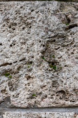 Stonewall