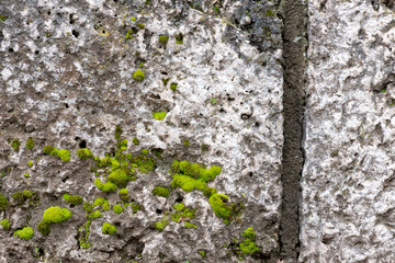 Old stonewall with moss