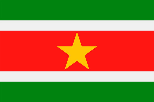 Suriname Flag Vector Flat Icon