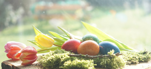 easter eggs with green moos with tulips at window in front of sunny garden