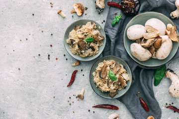 Risotto with porcini mushrooms on wooden background. Flat lay composition