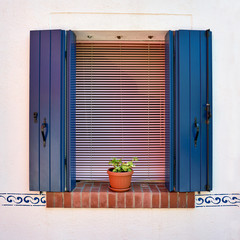 Window with opened blue shutters and flowers in the pot. Italy, Venice, Burano
