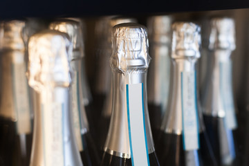 champagne bottles displayed