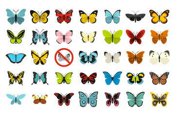 Fototapeta premium Butterfly icon set, flat style