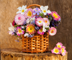 Fototapeta na wymiar bouquet of spring flowers of daisies and primrose