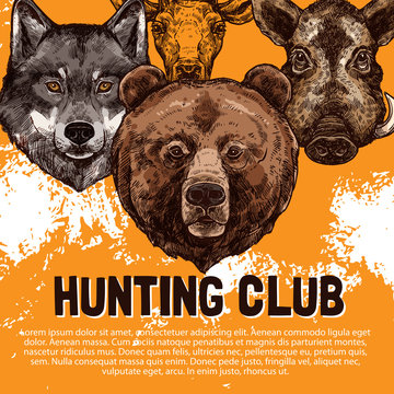 Vector sketch poster of wild animals hunting club