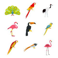 Exotic birds icon set, flat style