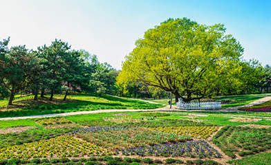 Park in early spring. Located in Shenyang Botanical Garden, Shenyang, Liaoning, China.