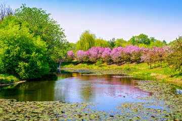 Park in early spring. Located in Shenyang Botanical Garden, Shenyang, Liaoning, China.