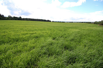lanscape meadow sky cloud 