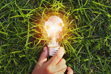 hand holding light bulb on grass. eco concept power energy in nature