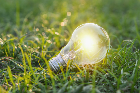 concept eco. close up lightbulb on green grass with sunset and bokeh background