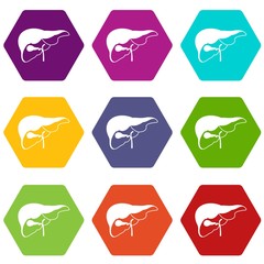 Liver icon set color hexahedron