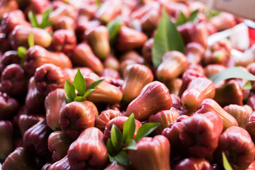 thailand fruit of wax apple