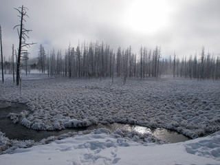 Yellowstone 20 below 8446