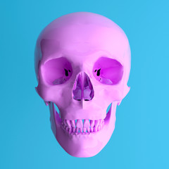 pink Skul on blue background .Minimal concept idea.3d rendering. 3d illustration.