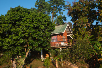 rest home made of wood with Sky Blue