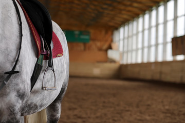People on a horse training in a wooden arena