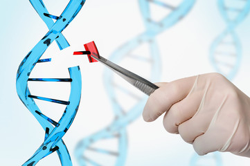 Genetic engineering and gene manipulation concept