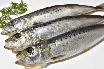 一夜干しの大きなマイワシ　大羽イワシ