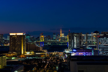 Fototapeta na wymiar お台場からの東京の夜景